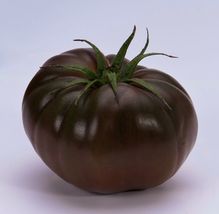 30+Cherokee Purple Native American Heirloom Organic Tomato - £7.11 GBP