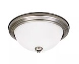 Sea Gull Lighting Geary 1 Light Antique Brushed Nickel Ceiling Fixture - $19.79
