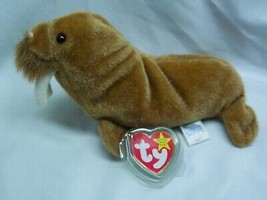 TY Beanie Babies 1999  PAUL THE WALRUS 7&quot; Bean Bag Stuffed Animal Toy  B... - $14.85