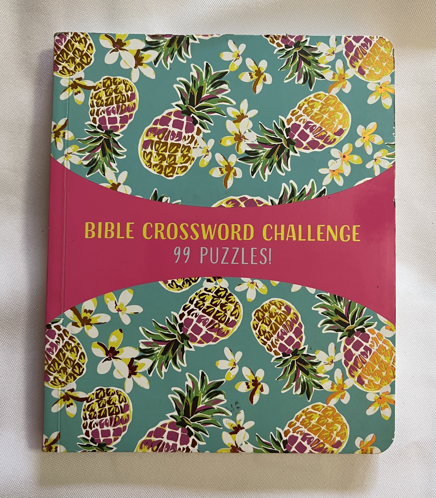 Primary image for Bible Crossword Challenge 99 Puzzles!