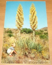 California Yucca In Bloom Postcard - $10.00
