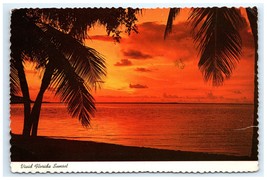 Vintage Sunset Palm Tree Orange Skies Vivid Color FL Postcard - $5.95