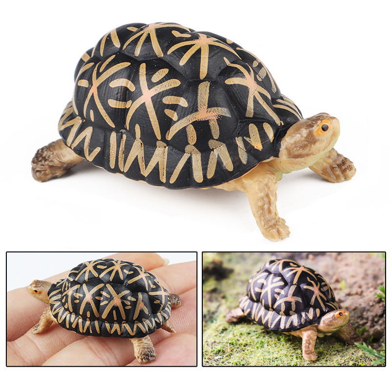 Indian Star Tortoise Miniature Replica Wildlife Model - $9.89+