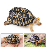 Indian Star Tortoise Miniature Replica Wildlife Model - $9.89+