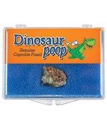 (1) Genuine Dinosaur Poop w/Clear Display Box *Collectible Coprolite Fos... - $133.04 MXN