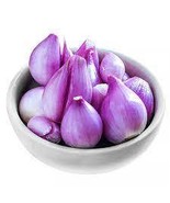  50 Sambar Onion Seeds, Small Onion Seeds, Shallot Onion Seeds, Button o... - $93.28 MXN