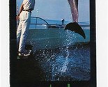 Aquatarium &amp; Zoological Gardens Brochure Gulf of Mexico St Petersburg Fl... - $17.82