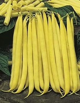 Yellow Cherokee Wax Bush Bean Seeds - 100 Count Seed Pack - Produces Beans with  - $7.49