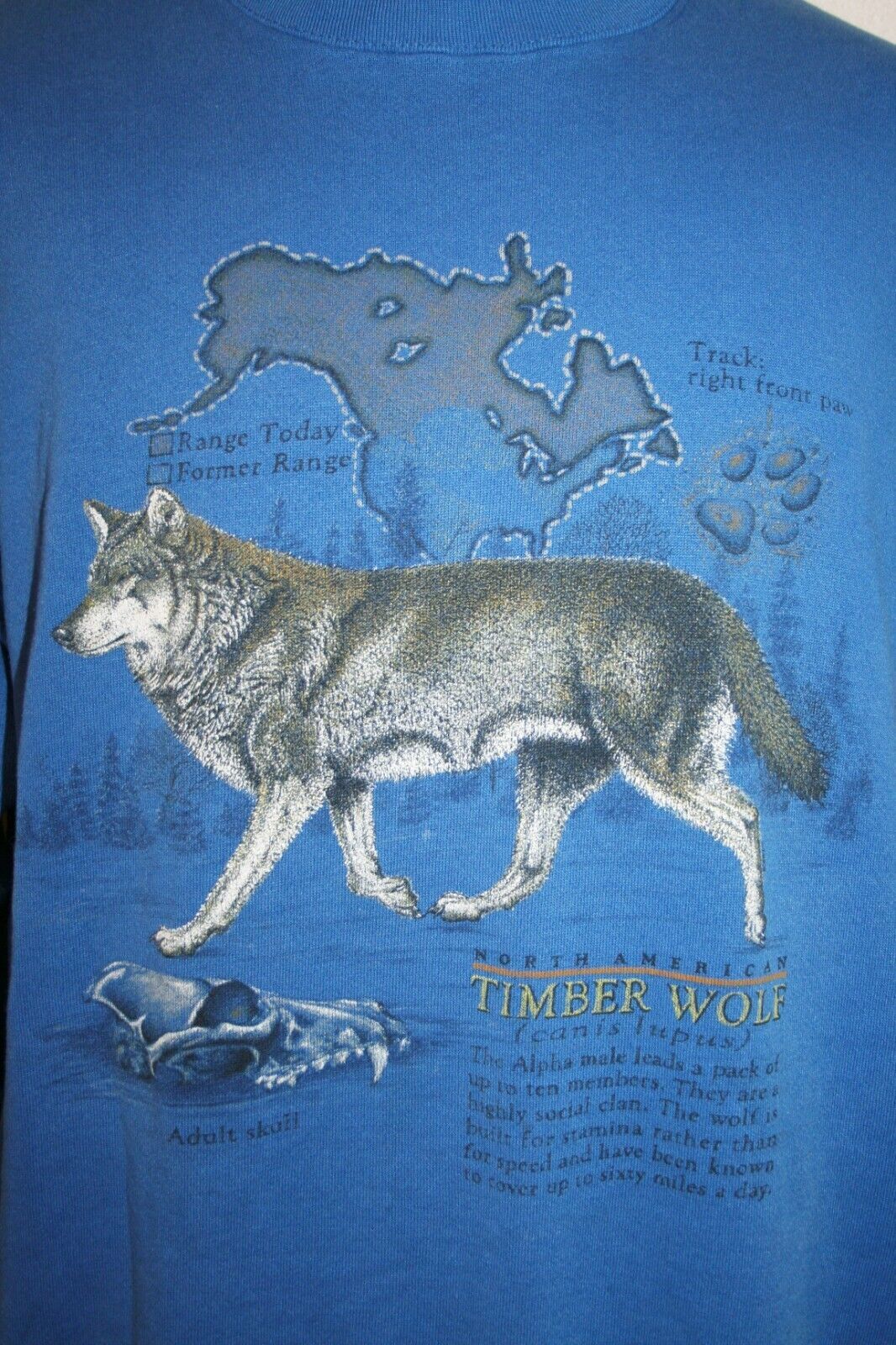 Primary image for Vintage 90s NORTH AMERICAN TIMBER WOLF Blue 50/50 SWEATSHIRT XL Vtg Crew Neck
