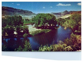 Truckee River Reno Nevada Postcard - $52.28