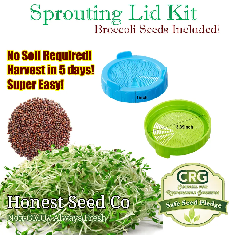 Sprouting Lid Kit W/ Broccoli Seeds Non GMO Includes 2 Lids Broccoli Seeds USA - $30.00