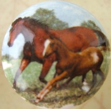 Cabinet Knobs Knob Mare and Foal in field @Pretty@ HORSE - £4.27 GBP