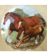 Cabinet Knobs Knob Mare and Foal in field @Pretty@ HORSE - €4,69 EUR