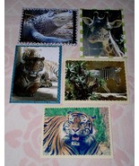 Wildlife Greeting Note Card Lot Of 5 Hand Crafted Custom 5.5 X 4.5 Blank... - £11.93 GBP