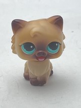 Hasbro 2005 Littlest Pet Shop 1st Generation Rare Cat w Moving Tongue Genuine - £37.83 GBP