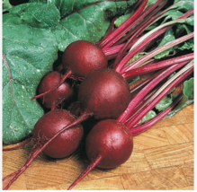 EASY TO GROW SEED - 30 Seeds Ruby Queen NON-GMO - £3.18 GBP