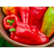 25+ Beaver Dam Sweet Pepper Seeds | Grow Crisp, Mild, Garden-Fresh Peppers - $16.50