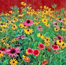4000 Pollinator Mix Seeds, 17 Native Wildflowers, Perfect for Gardeners ... - $18.79