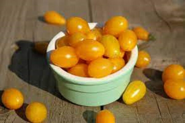 50 Seeds Ildi Tomato Juicy Tomatoe Vegetable Garden  - $7.66