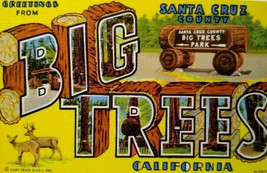 Greetings From Big Trees Santa Cruz California Large Letter Postcard Deer Logs  - £7.47 GBP