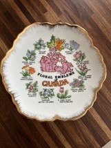 VTG Collectables Porcelain Floral Emblem Of Canada Souvenir Provincials Plate - £13.76 GBP