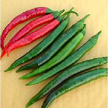 Goat&#39;S Horn Hot Peppers  10 Seeds  Garden Beautiful USA SELLER - £4.43 GBP