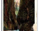 Oneonta Gorge Columbia River Highway OR UNP WB Postcard N19 - $1.93