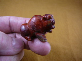 (Y-BUFF-555) BUFFALO baby bison gemstone RED FIGURINE stone carving - $14.01