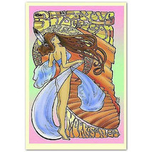 Widespread Panic Concert Poster 2010 NEW 11x17 - $14.99