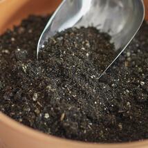 Indoor Plant Potting Soil - Puck - $4.99
