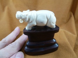 hippo-5) little Hippo of shed ANTLER figurine Bali detailed carving love hippos - £40.02 GBP