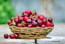20 Organic! Sweet Cherry Tree Prunus avium seeds  - £4.76 GBP