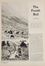 1954 Magazine Photos Hunter with Huge Bull Caribou &amp; Small Herd by Mountain - £13.36 GBP