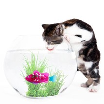 LED Light Swimmer: Interactive Pet Fish Electronic Cat Toys with Grass - $13.81+