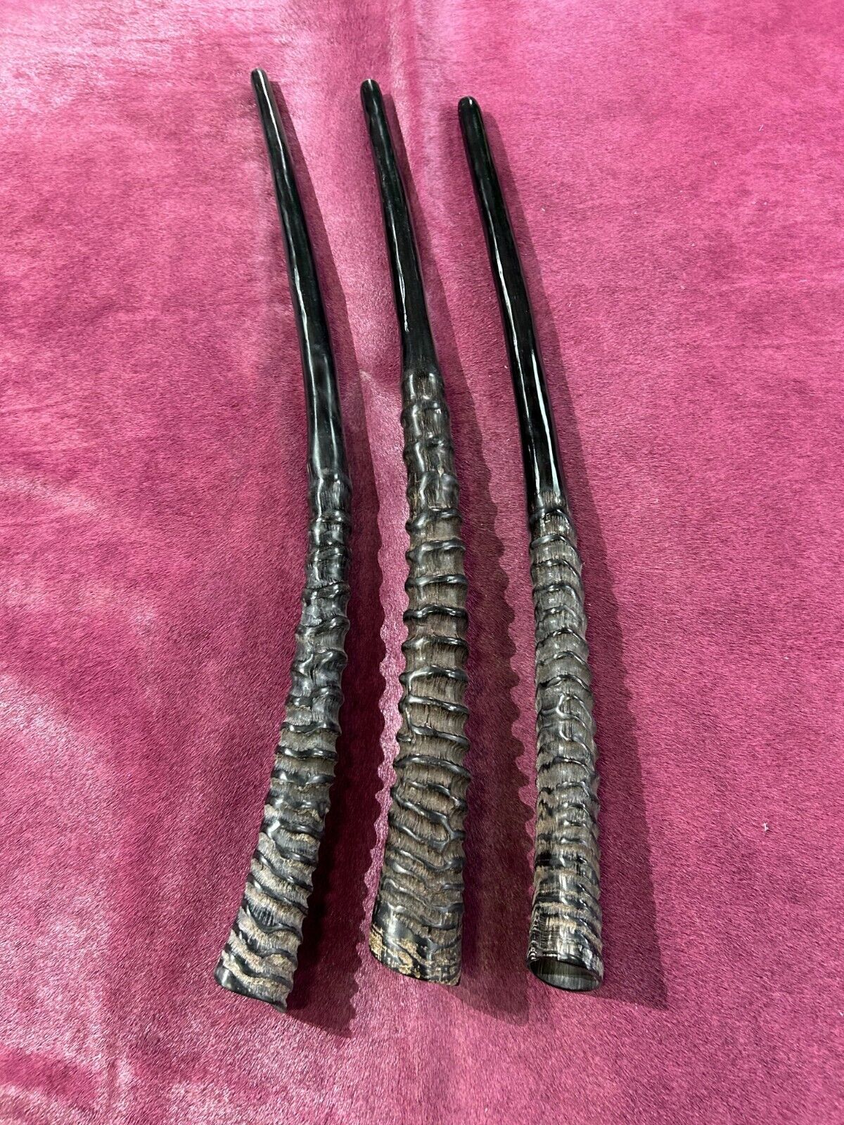1 Oryx Shofar, 1 Polished Gemsbok Horn Shofar, Polished Oryx Horn with B... - $68.31