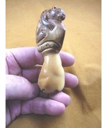 TNE-LEO-426A) Leopard Wild TAGUA NUT palm Figurine carving love leopards... - $39.73 CAD