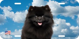 POMERANIAN BLACK FACE DOG CAN PERSONALIZE NOVELTY METAL LICENSE PLATE I - $8.90+