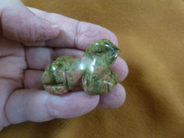 Y-FRO-560 Orange green unakite FROG stone gemstone CARVING figurine I lo... - $14.01