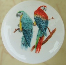 CABINET Knobs w/ Parrots Parrot Parrott Tropical BIRD - £4.18 GBP