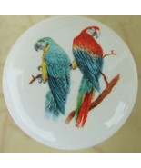 CABINET Knobs w/ Parrots Parrot Parrott Tropical BIRD - $7.18 CAD