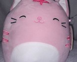 Squishmallows Paulita the Pink Cat 8&quot; NWT - £7.90 GBP