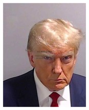President Donald Trump Mugshot Without Fulton County Logo 8X10 Photo Reprint - £6.67 GBP