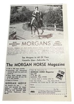 Morgan Horse Magazine Vintage Print Ad 70s Englewood Colorado Draft Horses - £8.10 GBP