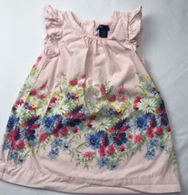 Baby Gap Fliral Dress 12-18 Mos Pink Wild Flowers Spring Summer Pastels - $20.00