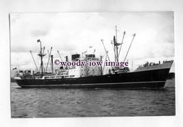 pf1241 - Cunard Cargo Ship - Lycia , built 1954 - photograph - £1.92 GBP