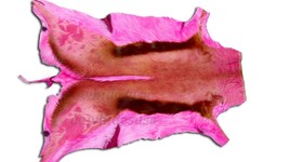 Deer Skin Dyed Pink African Springbok Skin SPRINGBOK Skin African antelope - £62.50 GBP