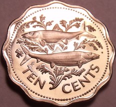 Bahamas 10 Cents, 1974 Rare Proof~Bone Fish~31,000 Minted~Scalloped~Free Ship - £4.61 GBP
