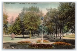 Burrill Avenue University Of Illinois Chapaign IL UNP Albertype Postcard Y2 - £11.55 GBP