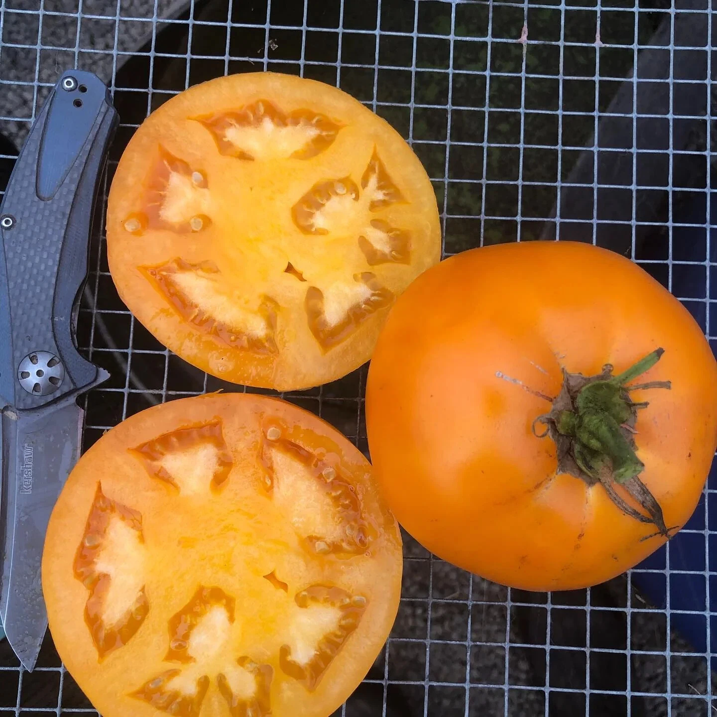 50 Seeds Nebraska Wedding Tomato Tomatoe Vegetable Garden Edible Canning - €8,26 EUR