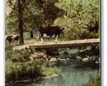 Cow on Footbridge Country Scene Eastern Wisconsin WI 1909 DB Postcard T3 - $4.90